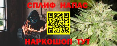 сатива Бузулук